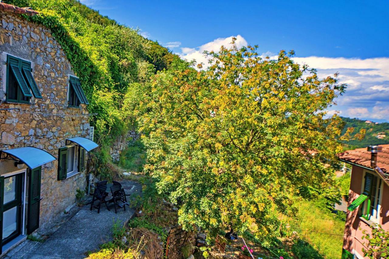 La FoceTourist Dependance "Cinque Terre"公寓 外观 照片